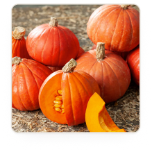 Pumpkin